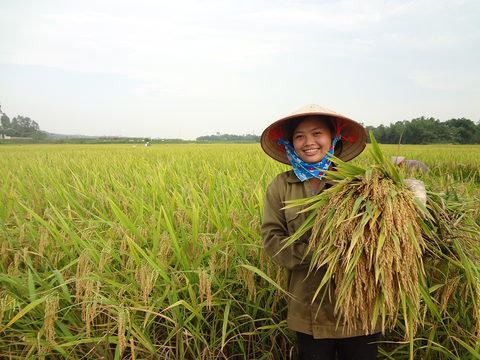 Vietnamese farmer
