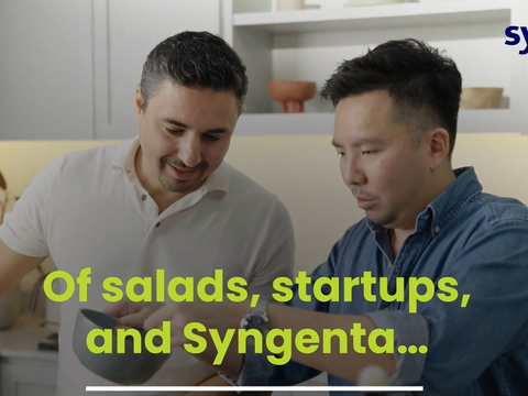 Salad_Startup